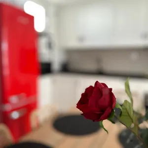 https://adeva-centrico-3-dormitorios.es-andalucia.com